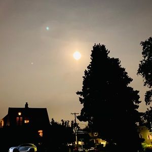 Meet your Posher, Carina